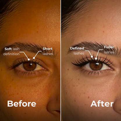 Lash & Brow Essentials
